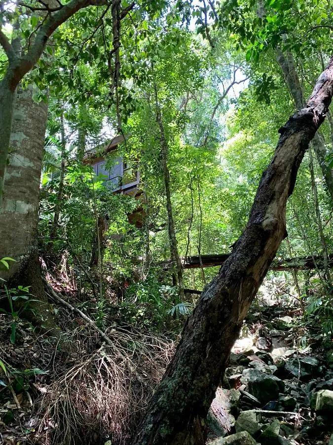 Cairns Rainforest Retreat Resort
